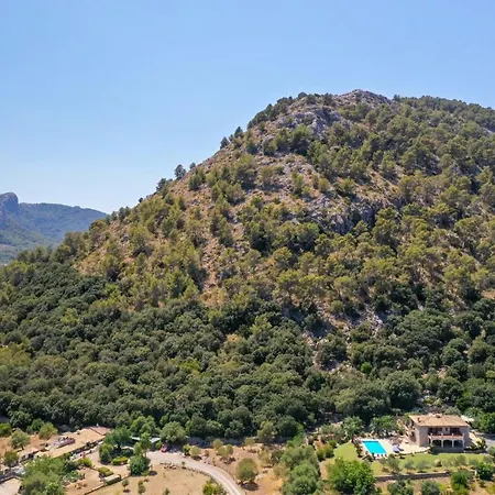Plomera